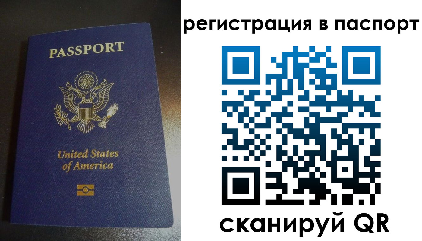 прописка для школы в Болотном